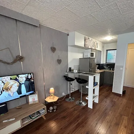 Apartment Climatise Le Flot Bleu Proche Plages, Aeroport, Centre Formations, Cap 3000, Cerfpa