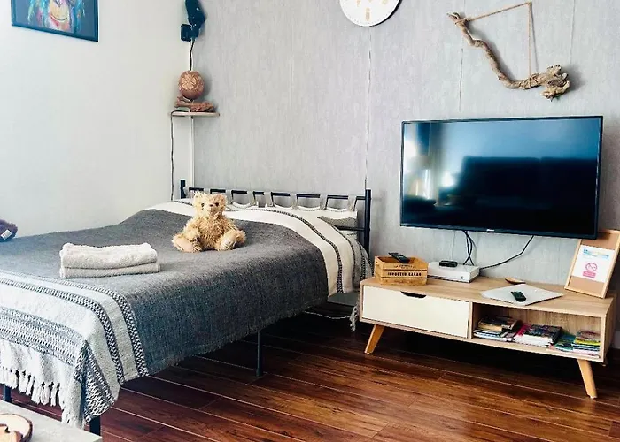 Climatise Le Flot Bleu Proche Plages, Aeroport, Centre Formations, Cap 3000, Cerfpa Appartement *