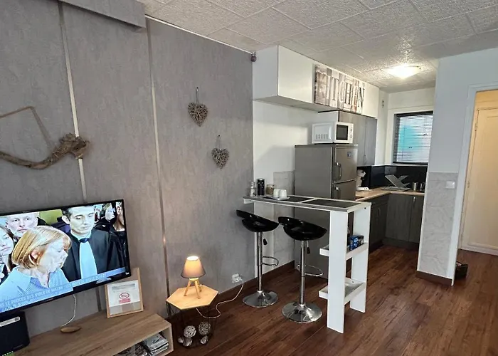 Appartement Climatise Le Flot Bleu Proche Plages, Aeroport, Centre Formations, Cap 3000, Cerfpa
